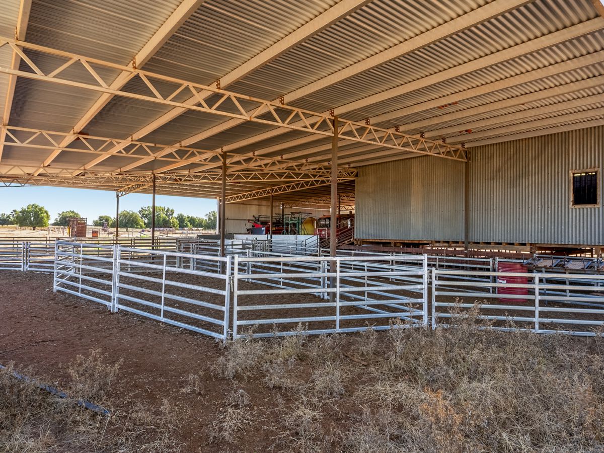 Boona Mount, Dubbo and Orana, NSW