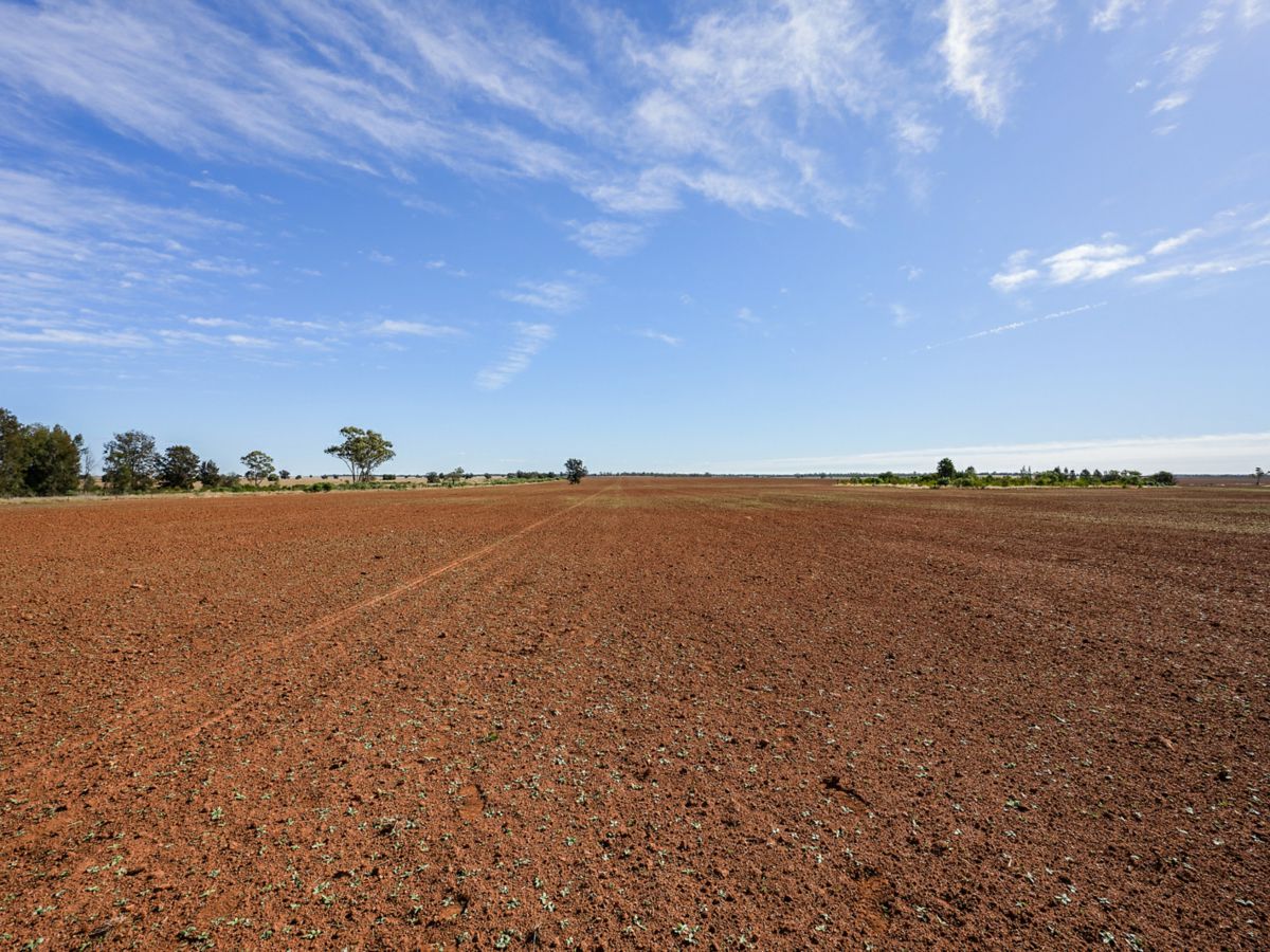 Boona Mount, Dubbo and Orana, NSW
