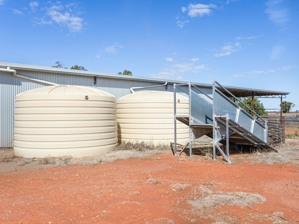 Boona Mount, Dubbo and Orana, NSW