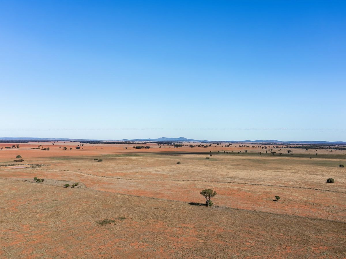 Boona Mount, Dubbo and Orana, NSW