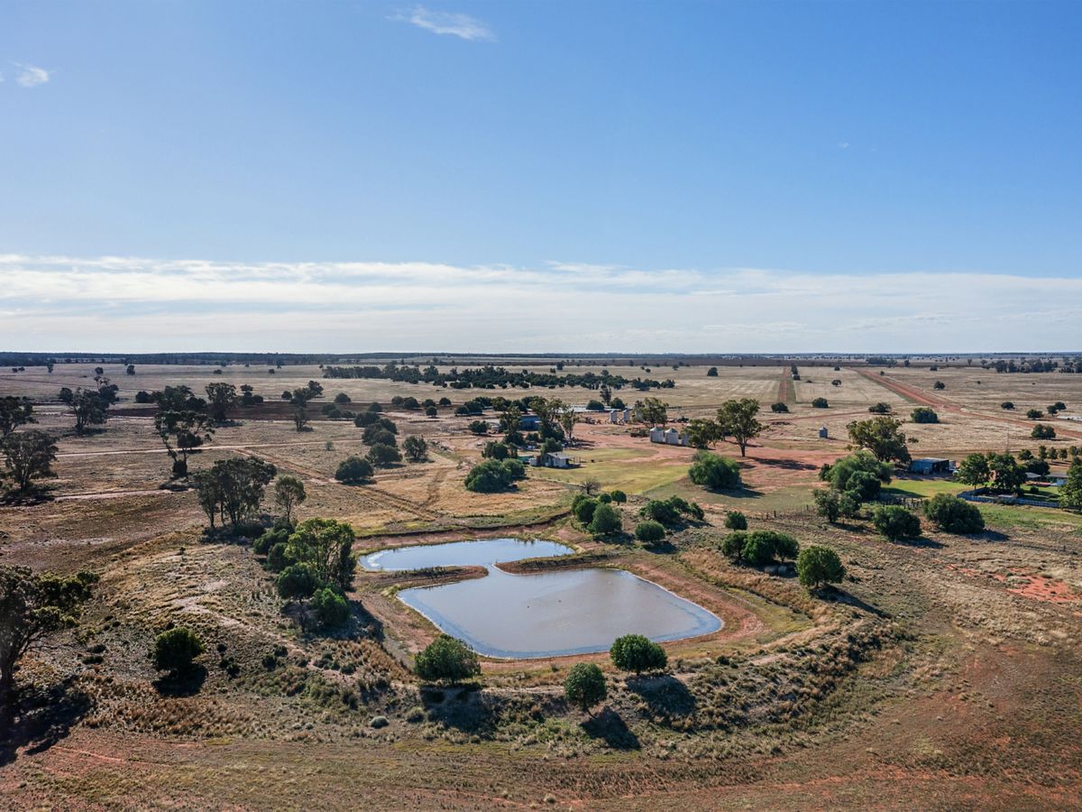 Boona Mount, Dubbo and Orana, NSW
