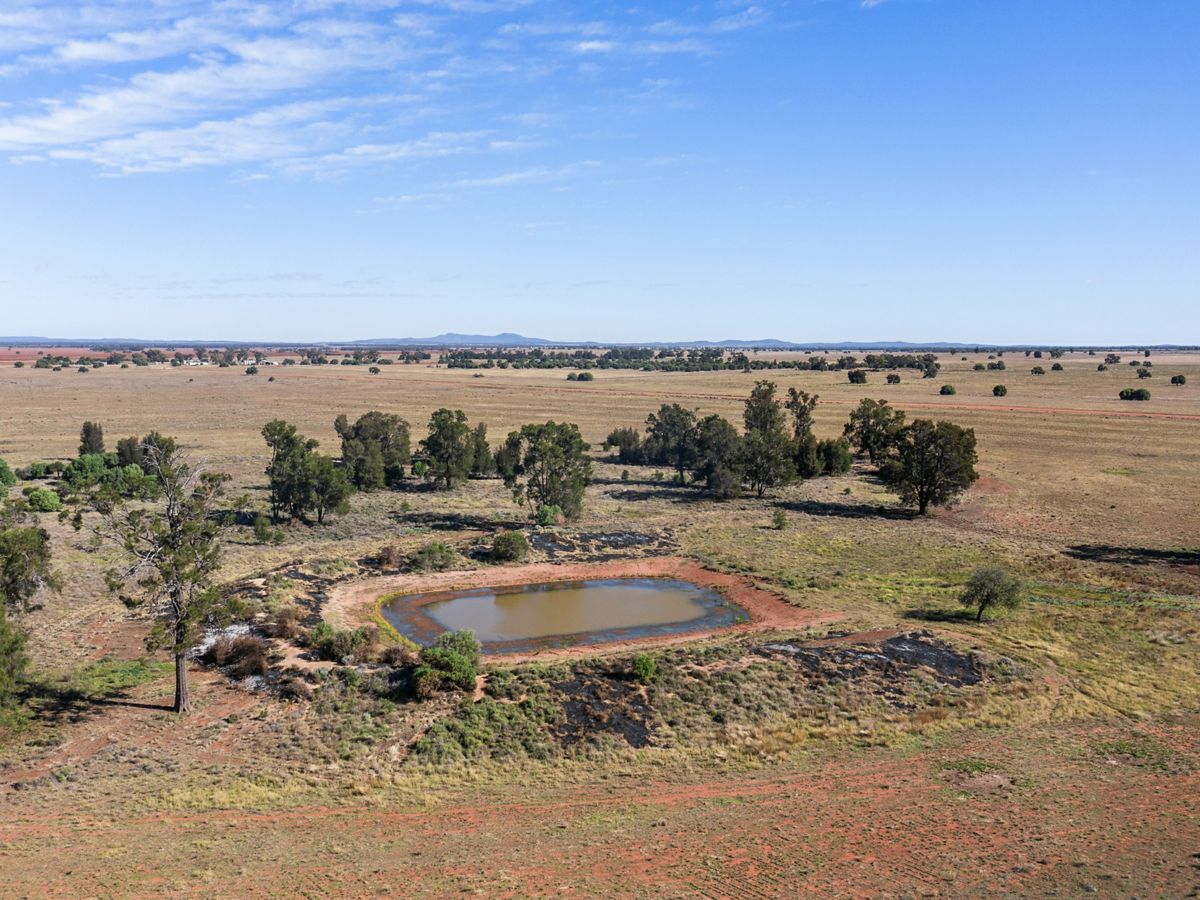 Boona Mount, Dubbo and Orana, NSW