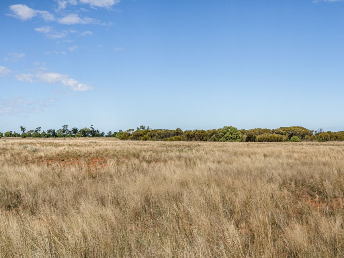 Boona Mount, Dubbo and Orana, NSW
