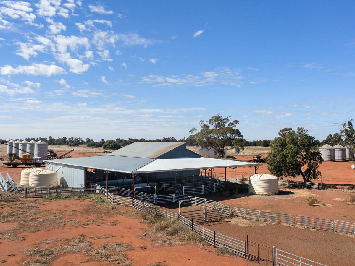 Boona Mount, Dubbo and Orana, NSW