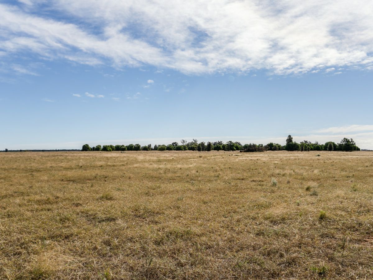 Boona Mount, Dubbo and Orana, NSW