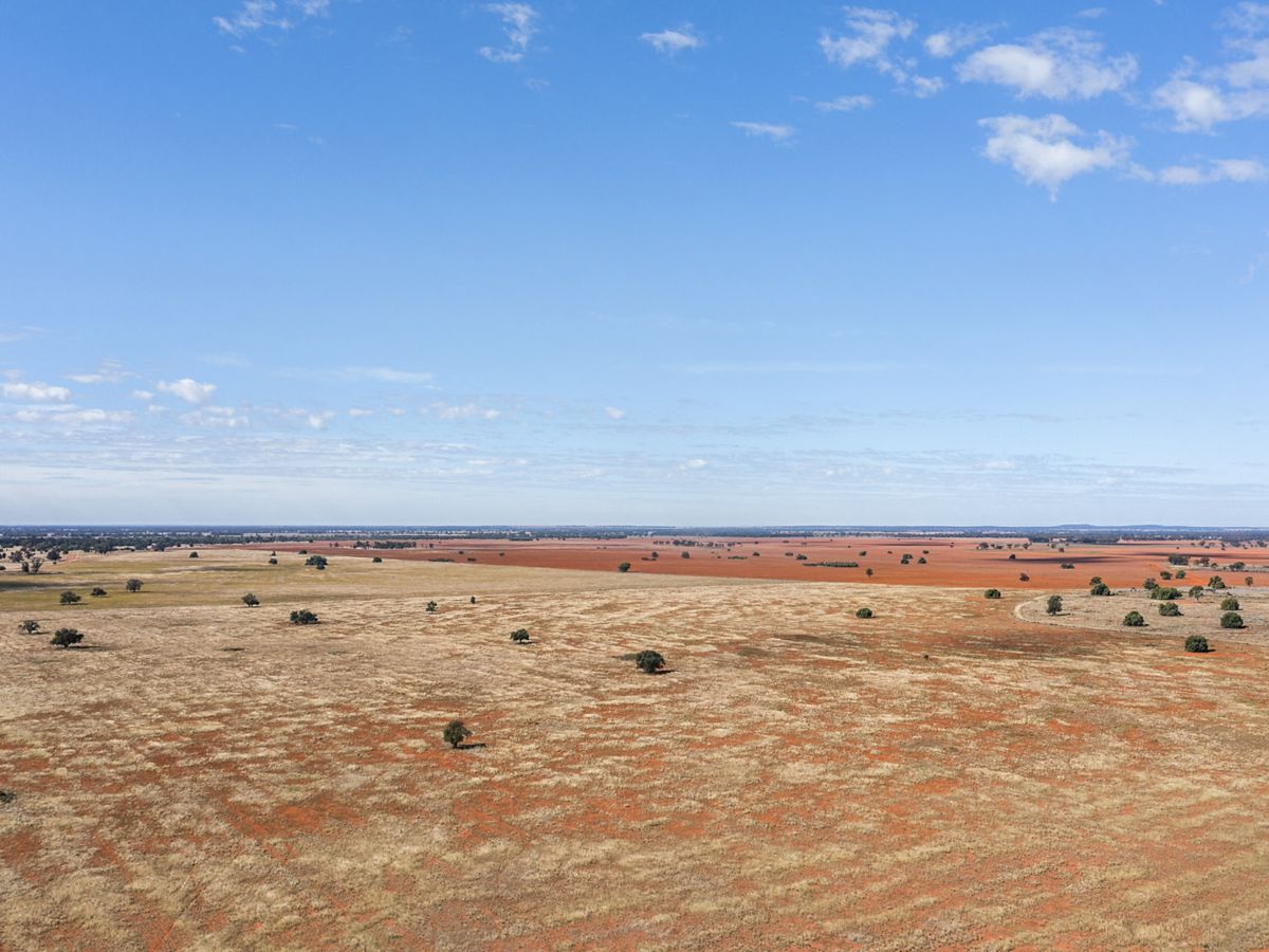 Boona Mount, Dubbo and Orana, NSW
