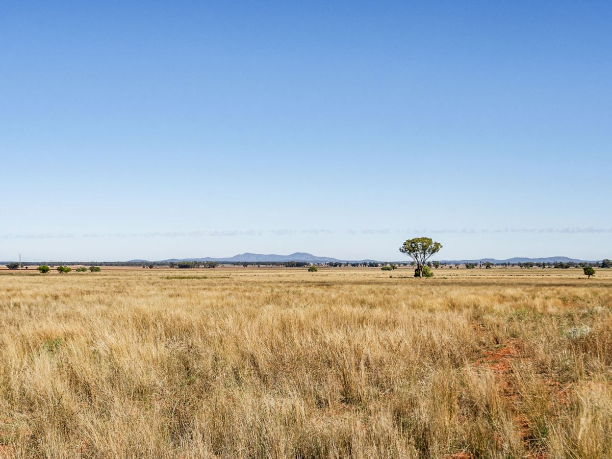 Boona Mount, Dubbo and Orana, NSW