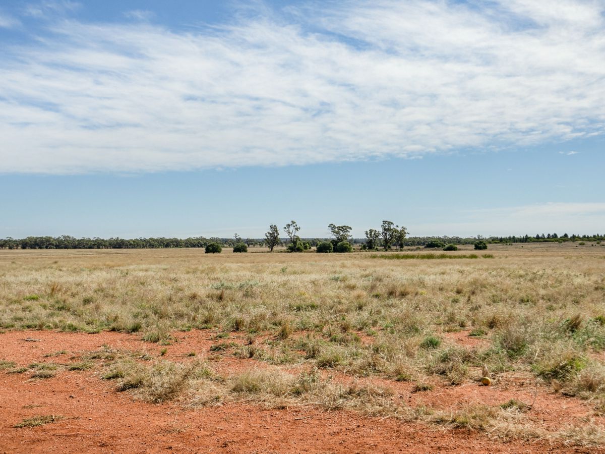 Boona Mount, Dubbo and Orana, NSW