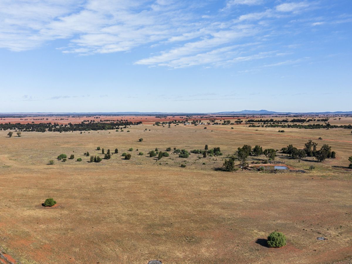 Boona Mount, Dubbo and Orana, NSW