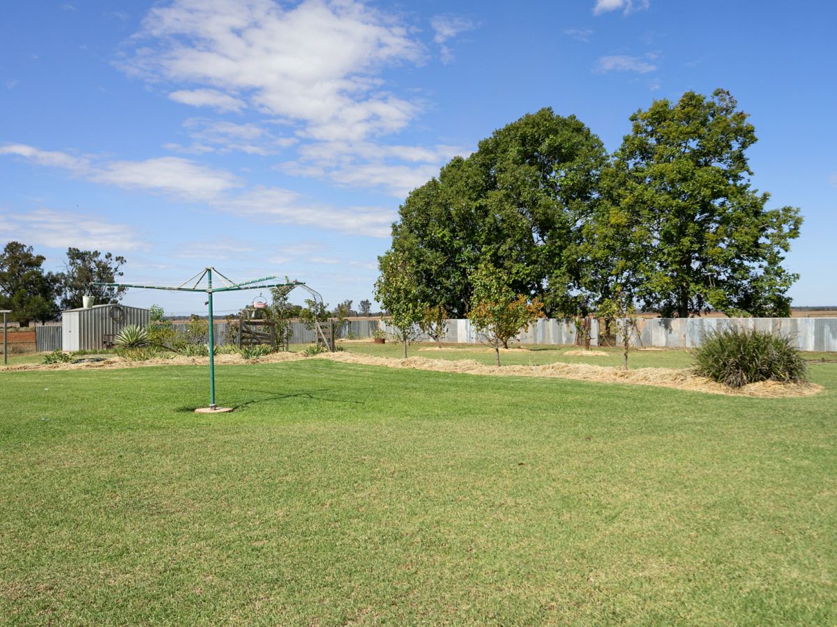 Boona Mount, Dubbo and Orana, NSW