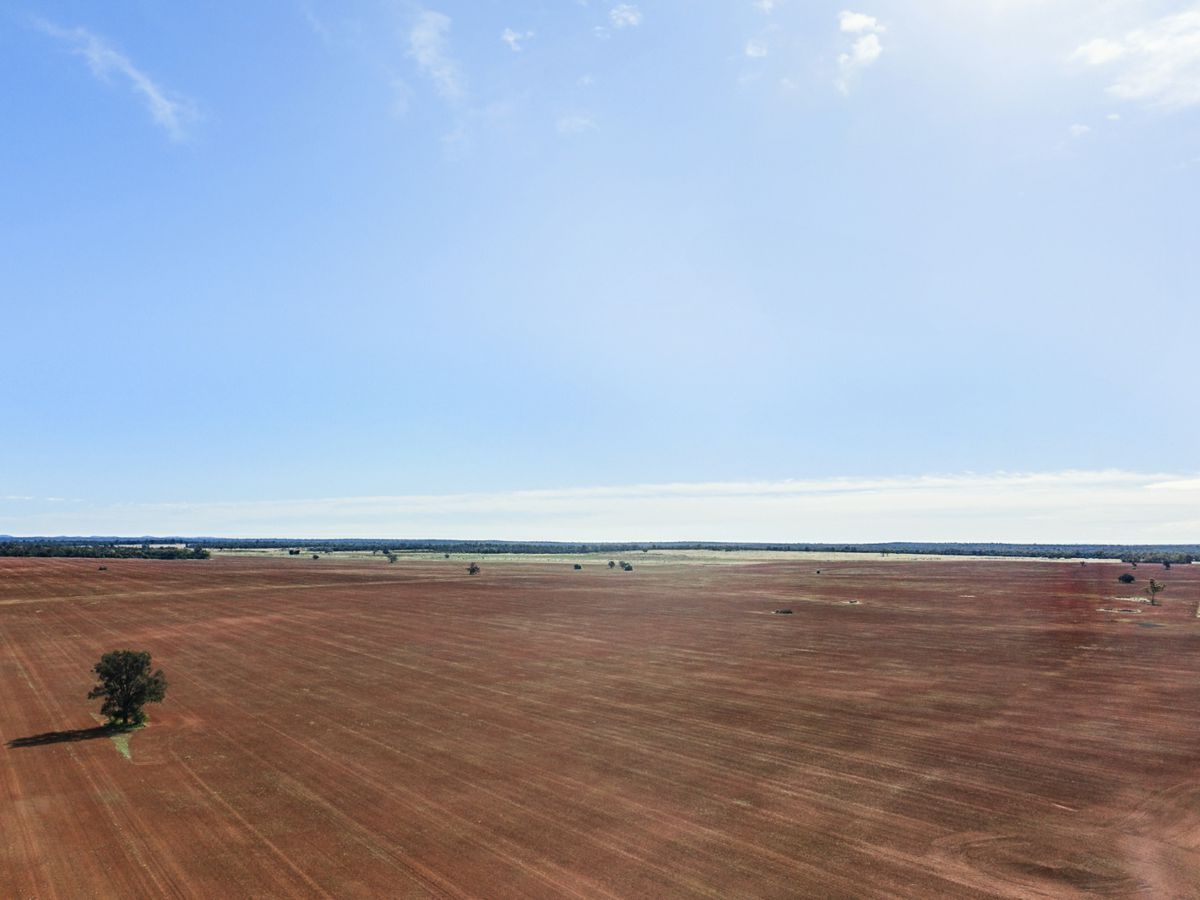 Boona Mount, Dubbo and Orana, NSW