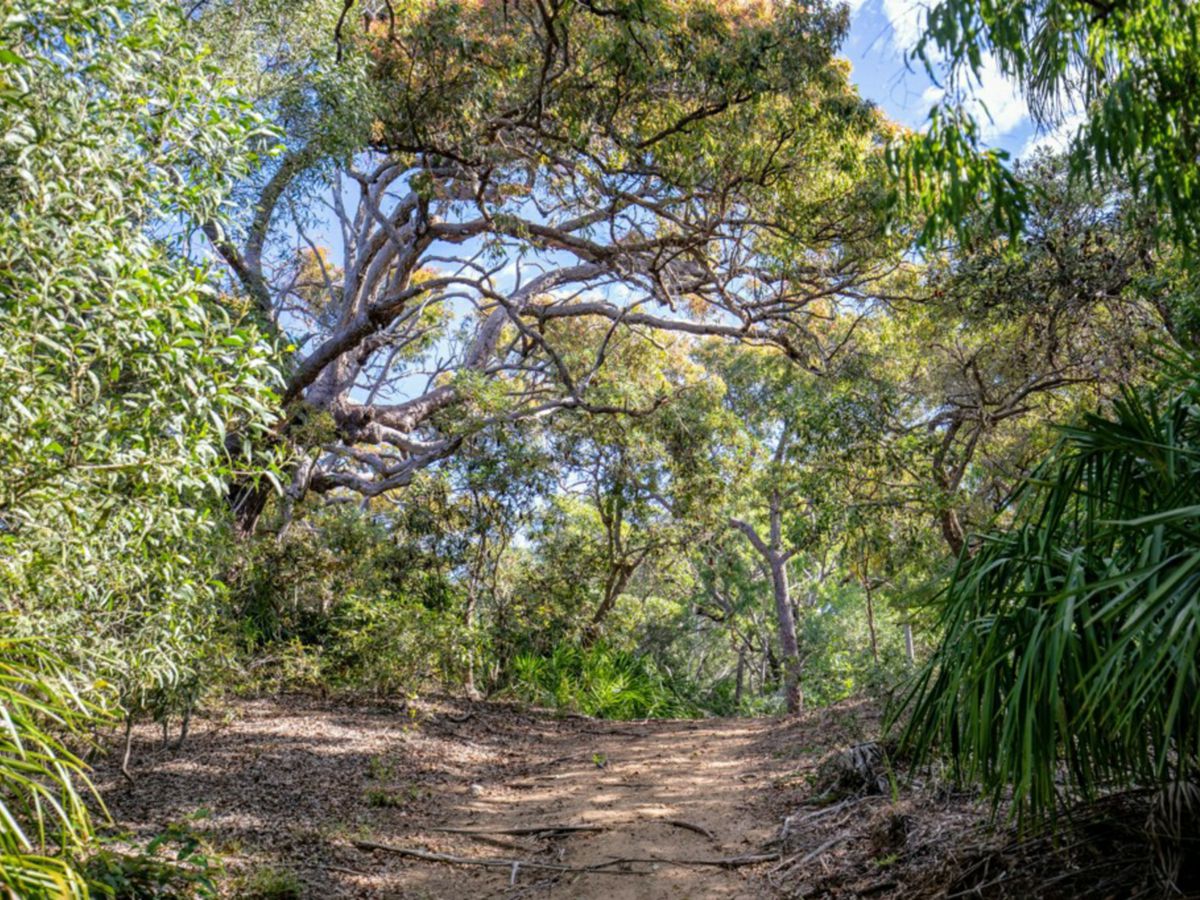 Deepwater, Gladstone, QLD