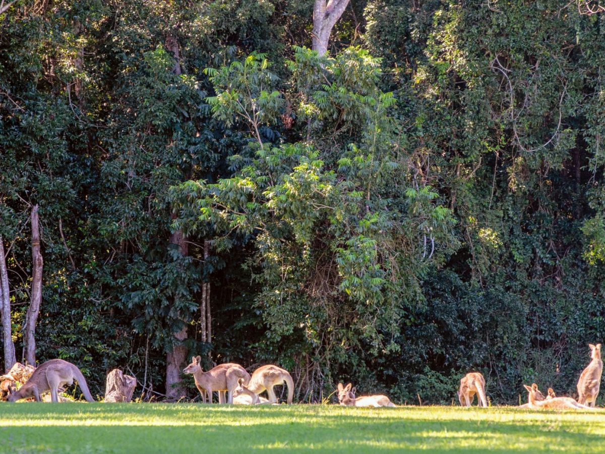 Deepwater, Gladstone, QLD