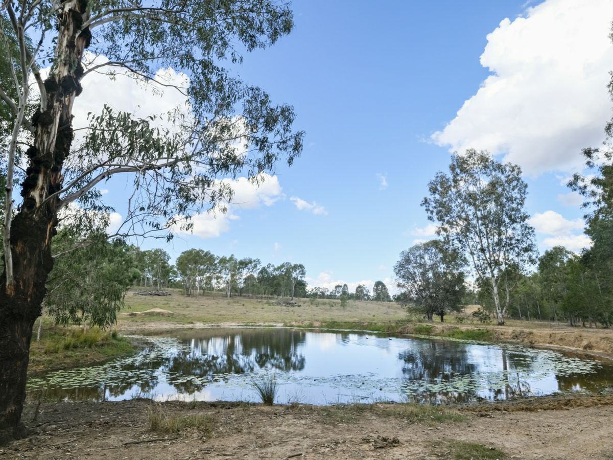 Mingo, South, QLD