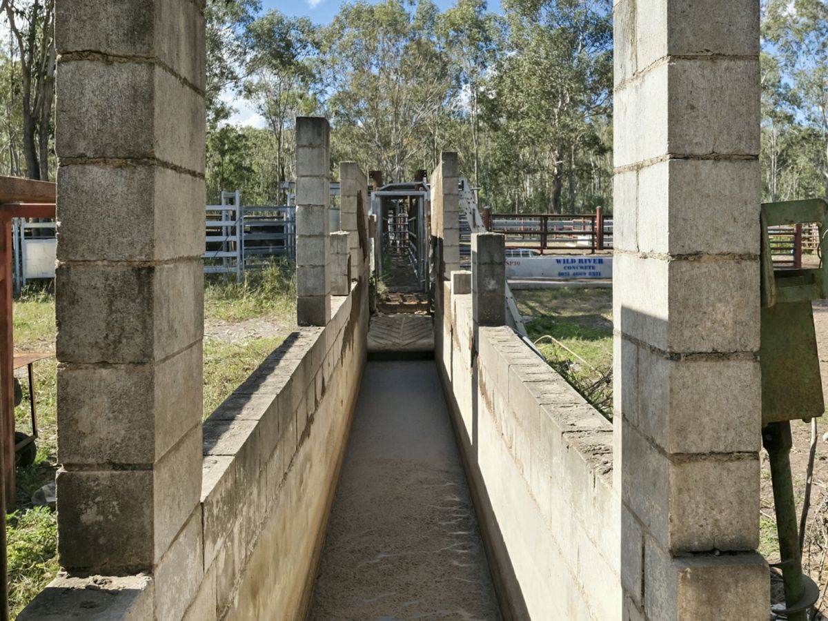 Mingo, South, QLD