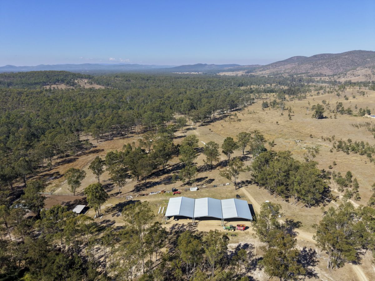 Mingo, South, QLD