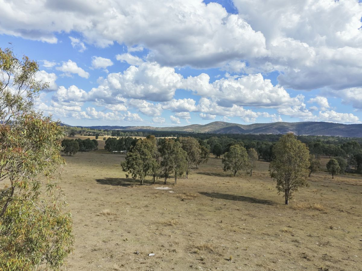 Mingo, South, QLD