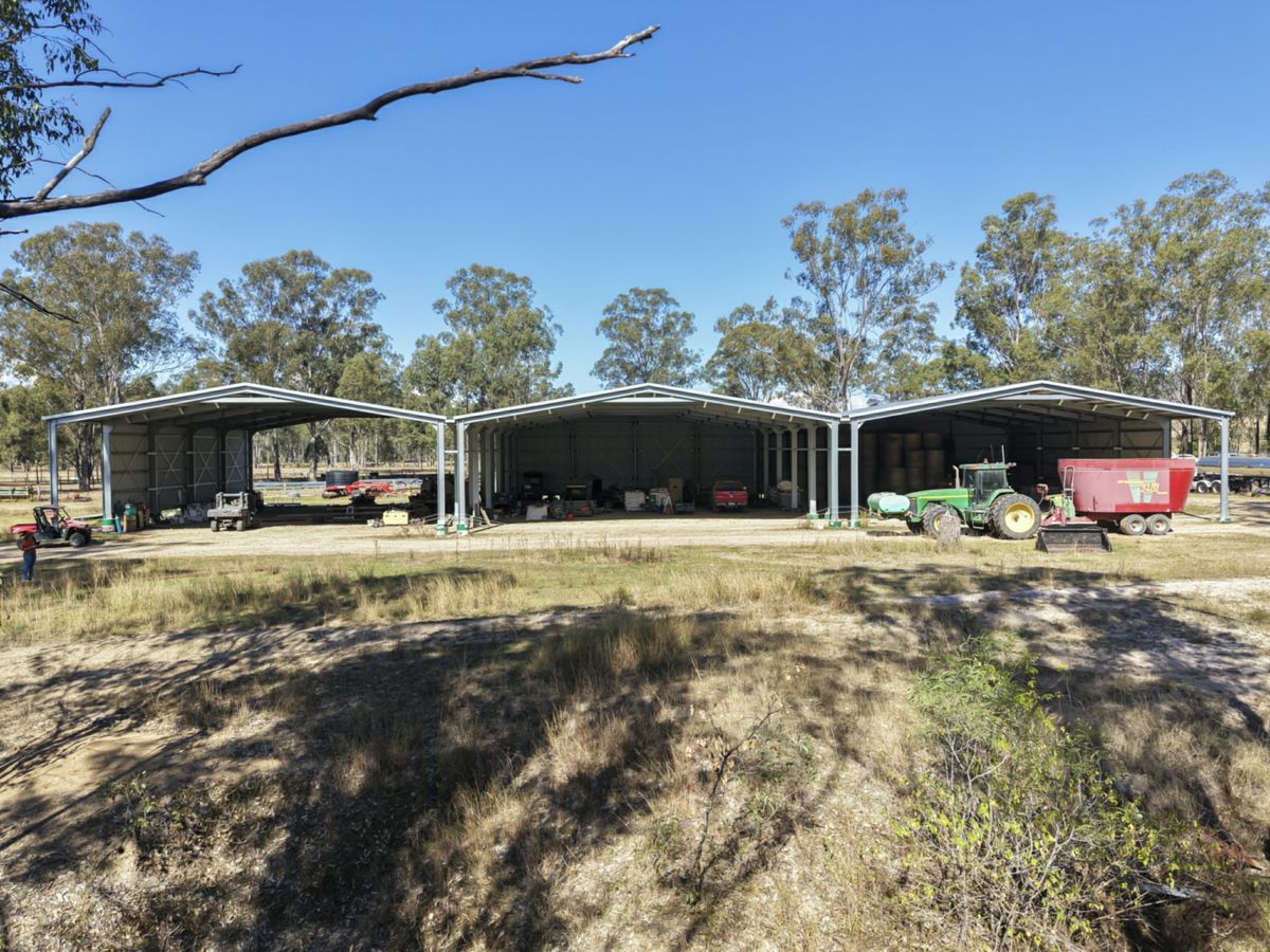 Mingo, South, QLD