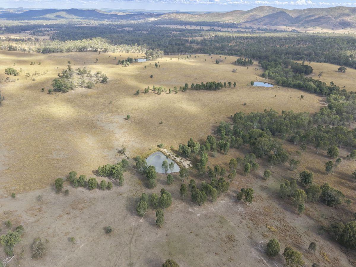 Mingo, South, QLD