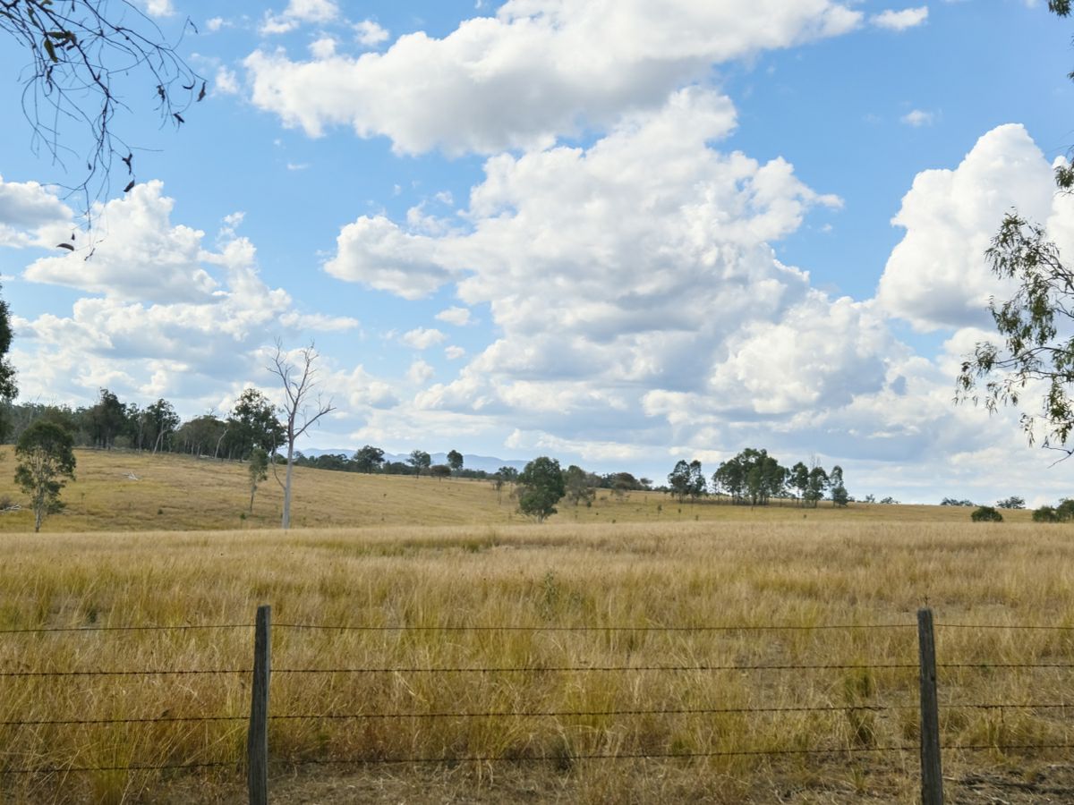 Mingo, South, QLD