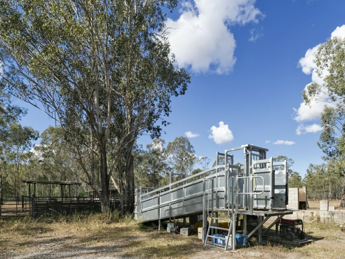 Mingo, South, QLD