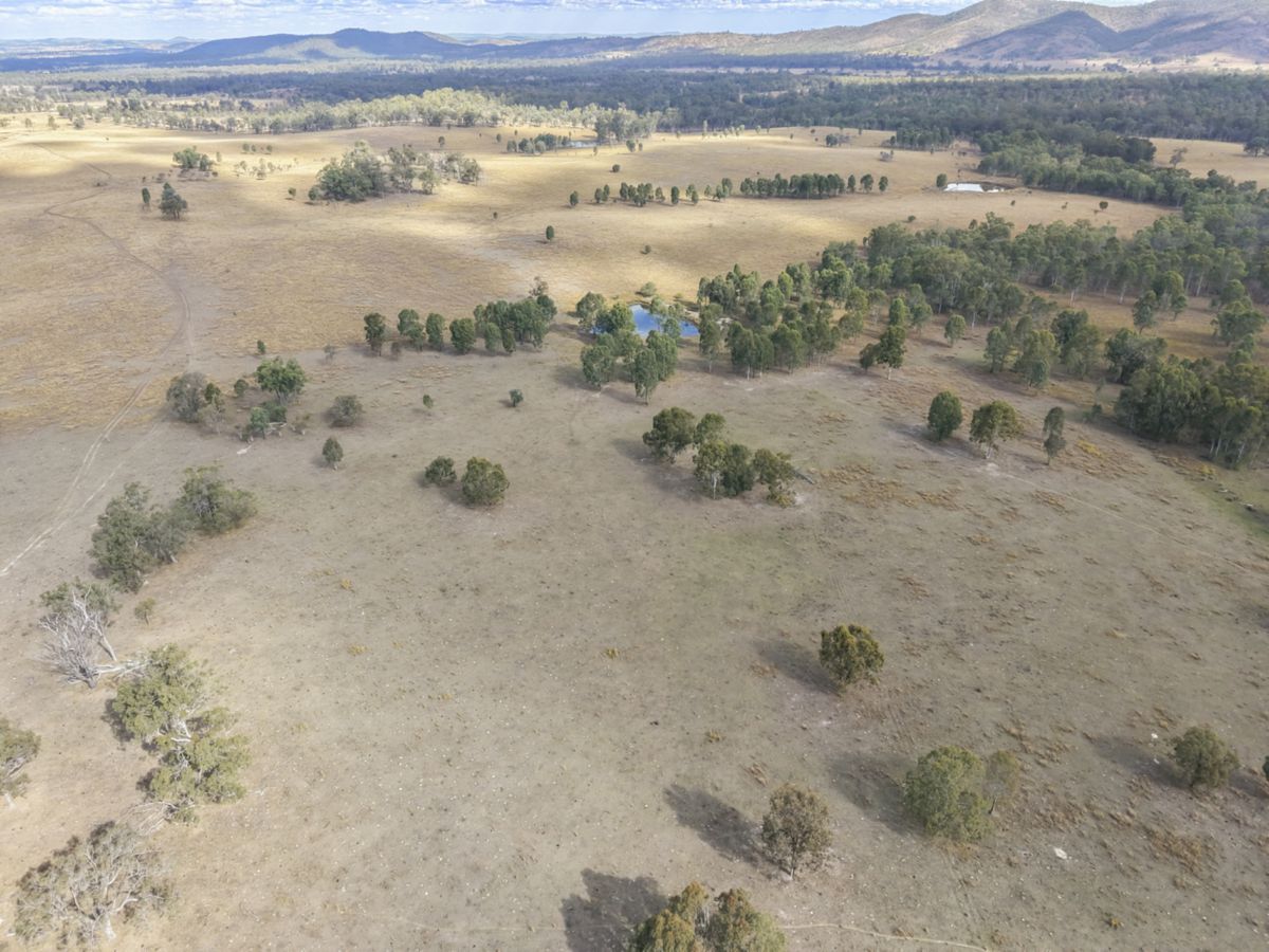 Mingo, South, QLD