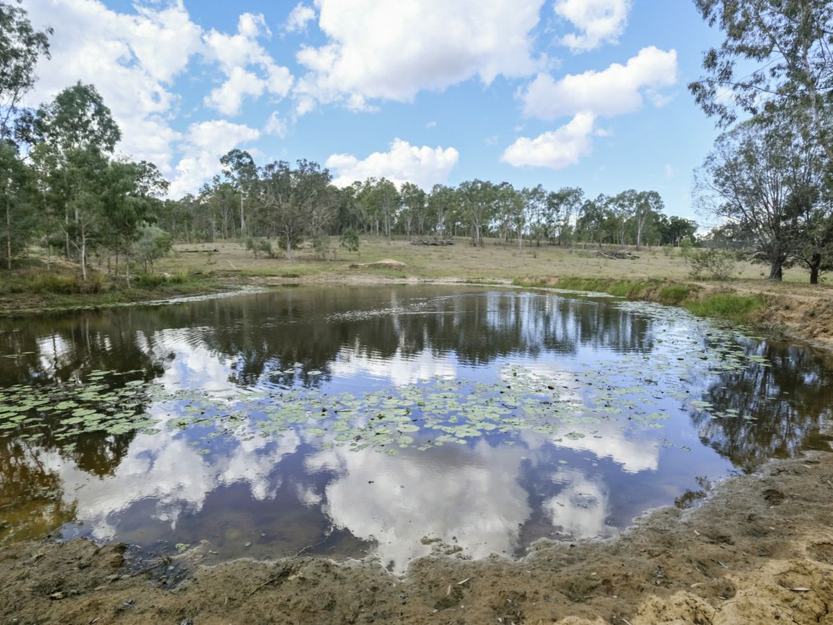 Mingo, South, QLD