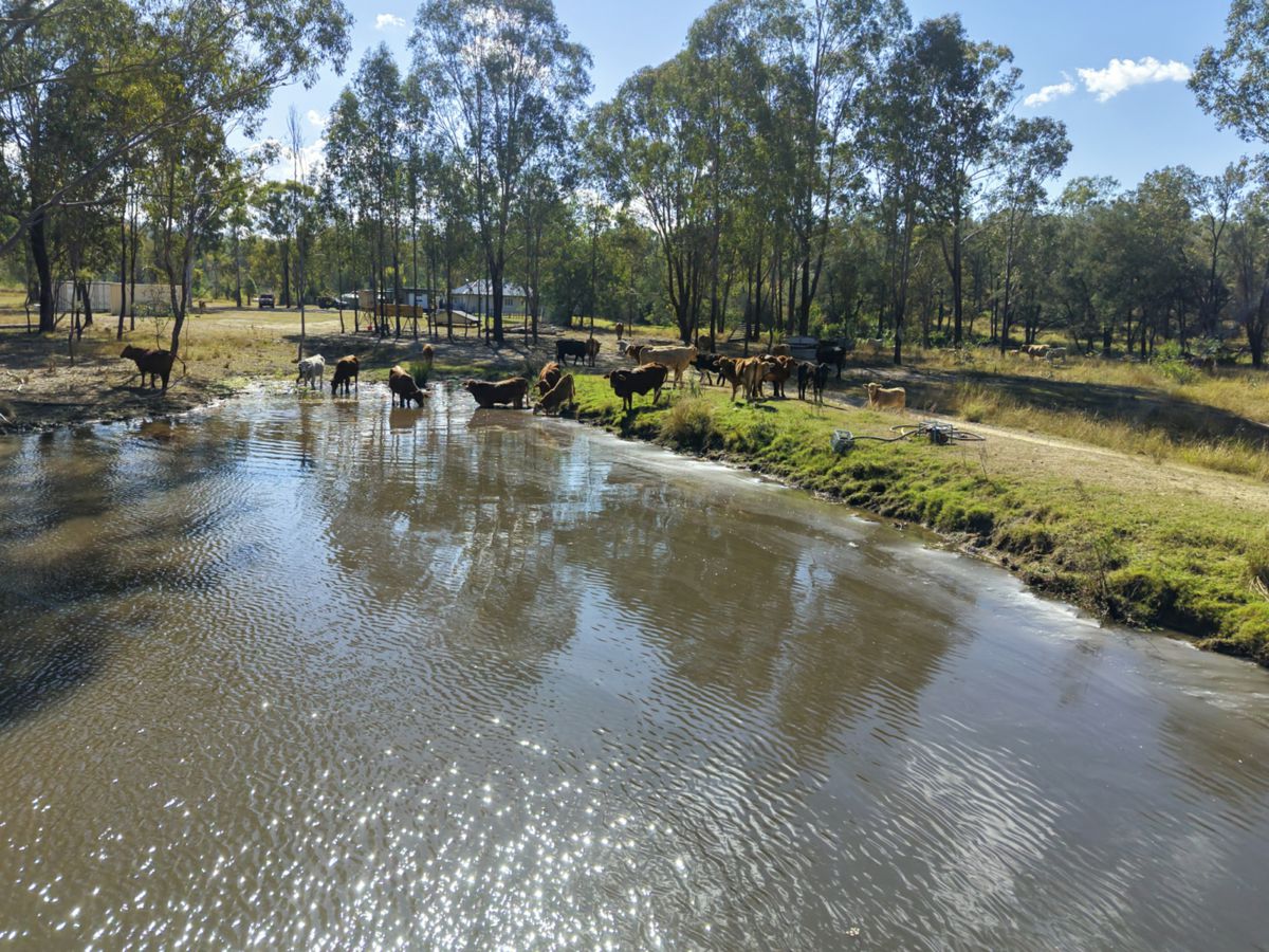 Mingo, South, QLD