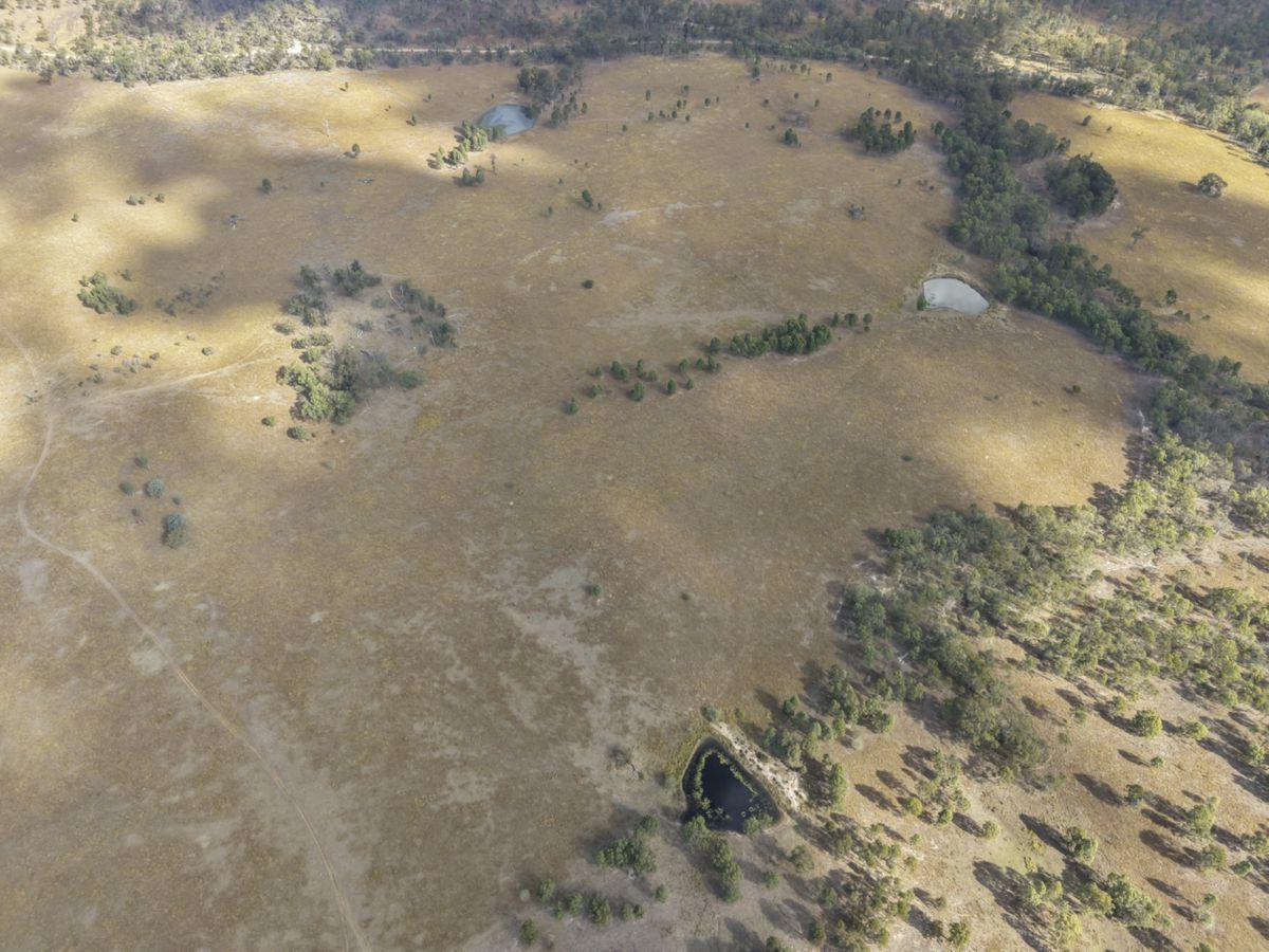 Mingo, South, QLD