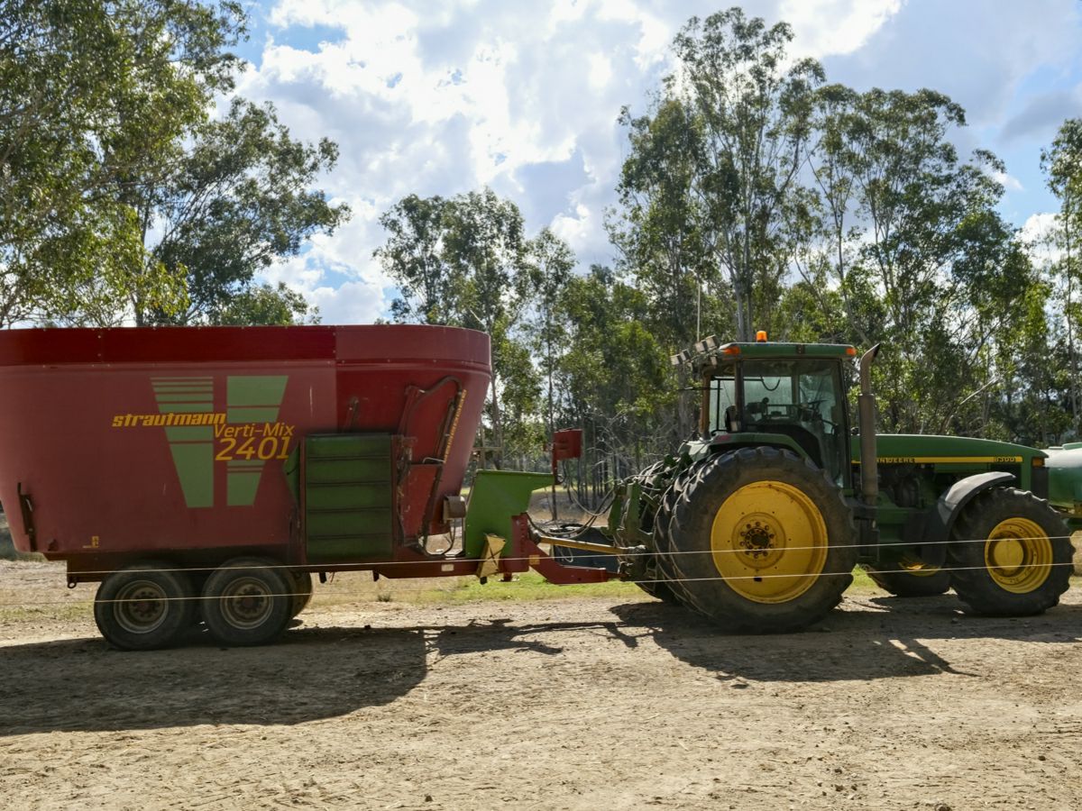 Mingo, South, QLD