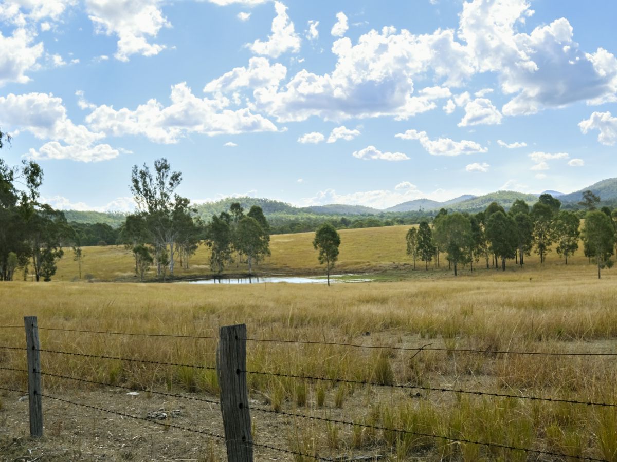 Mingo, South, QLD