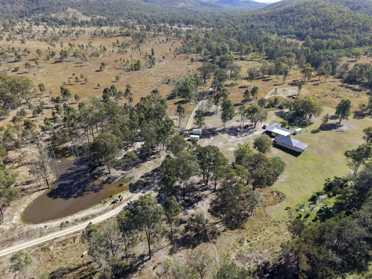 Mingo, South, QLD