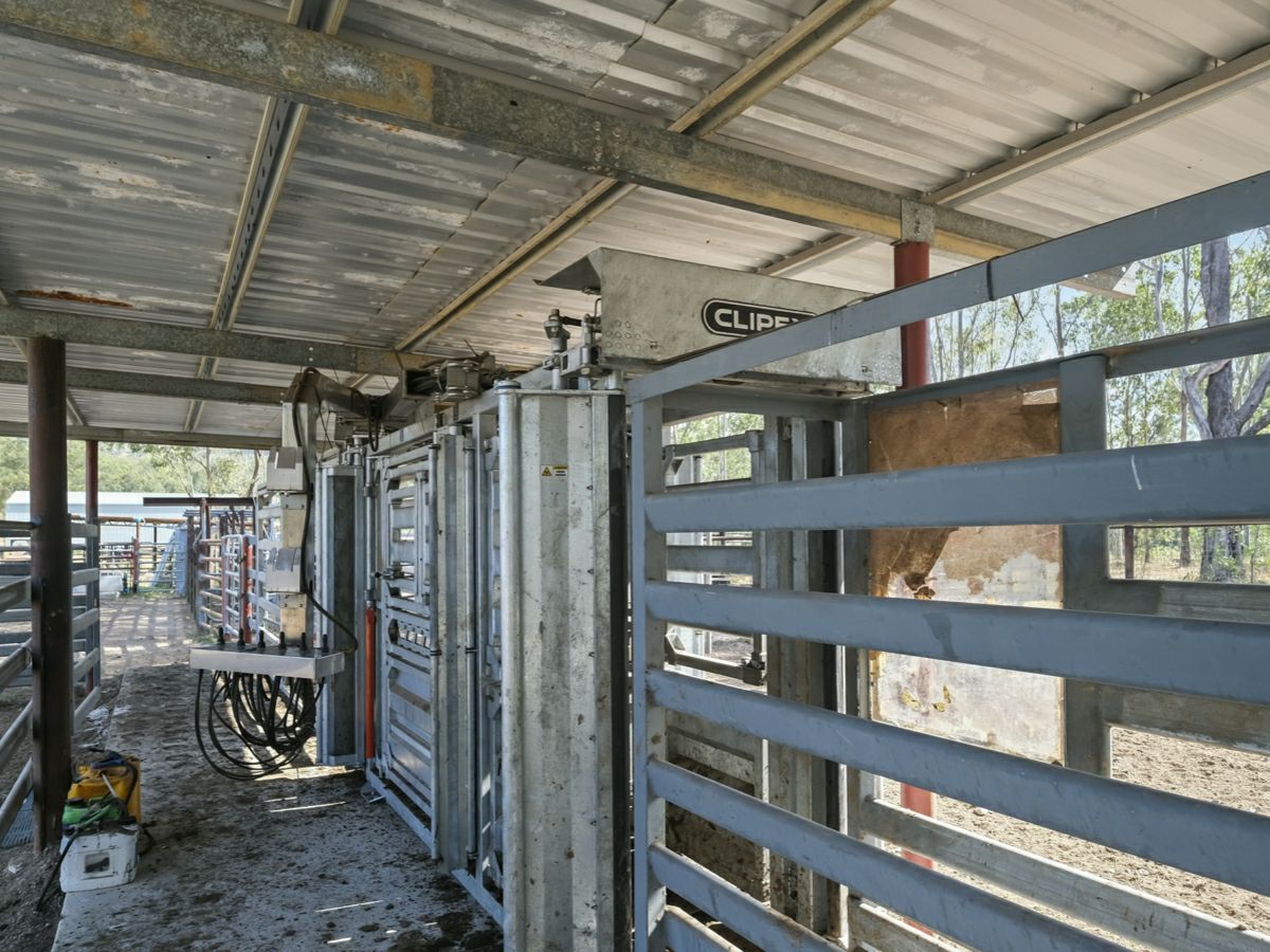 Mingo, South, QLD