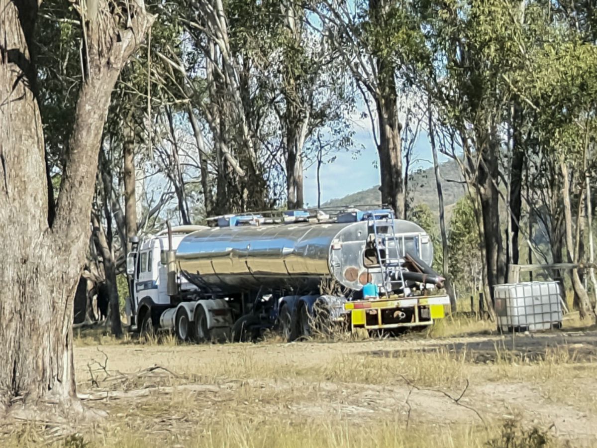 Mingo, South, QLD