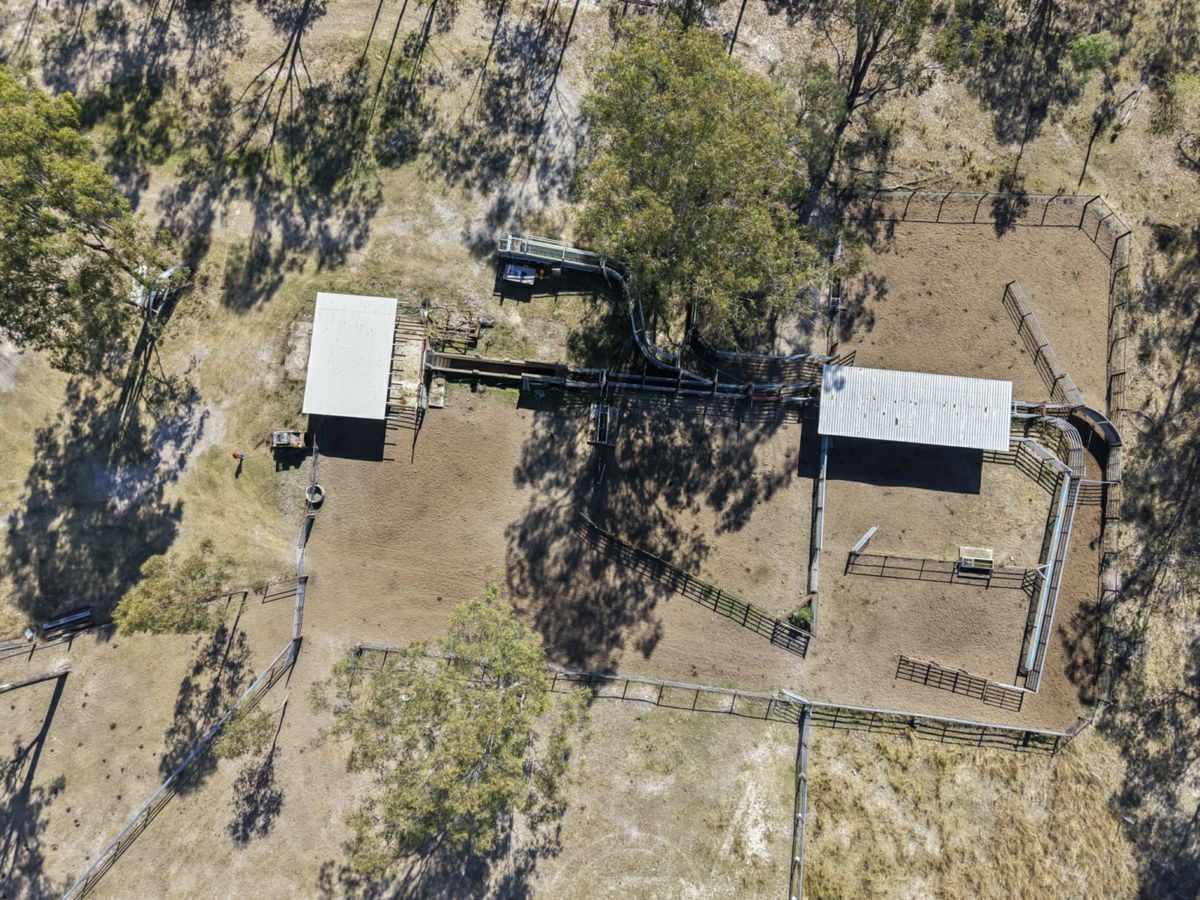 Mingo, South, QLD
