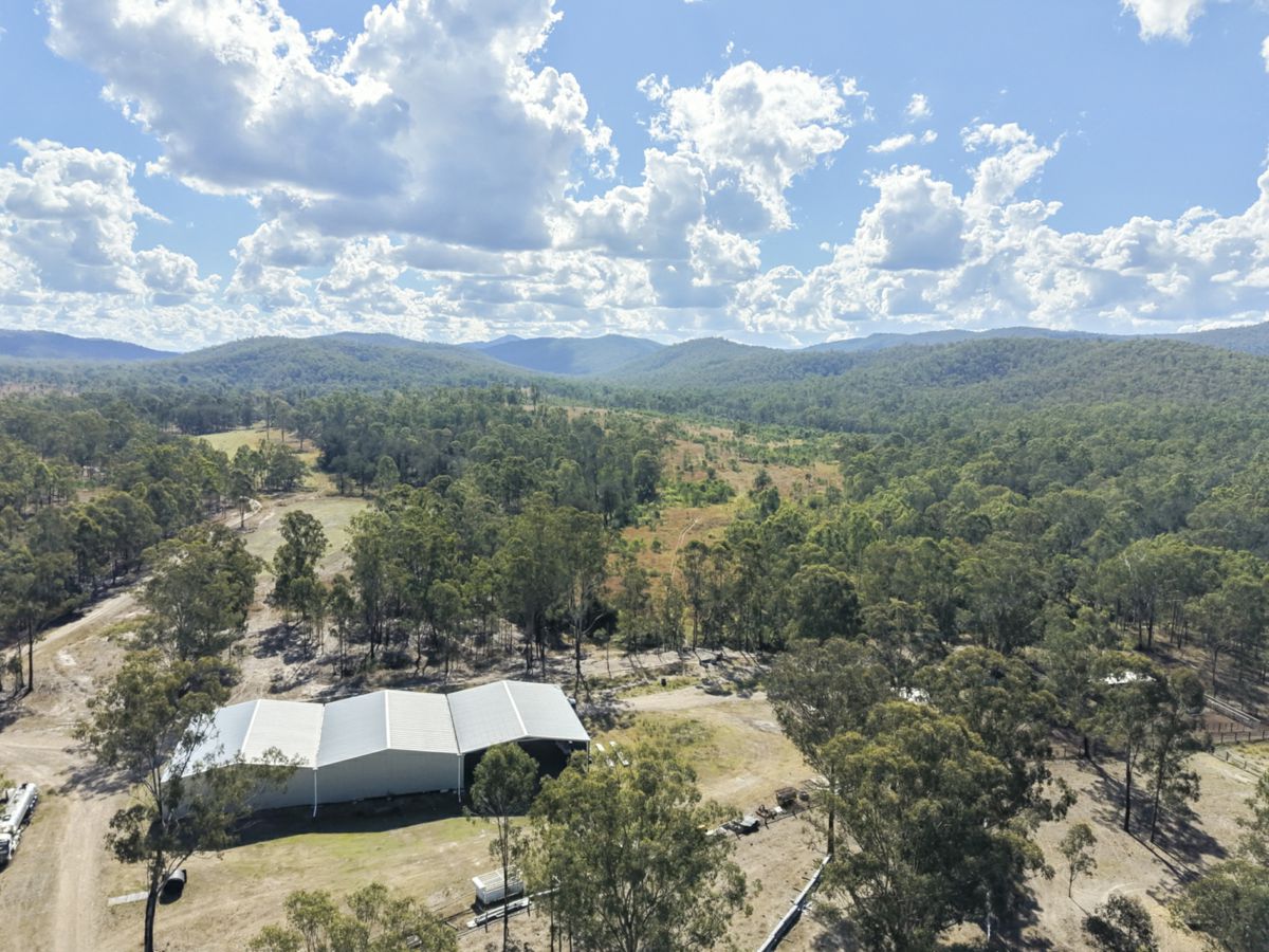 Mingo, South, QLD