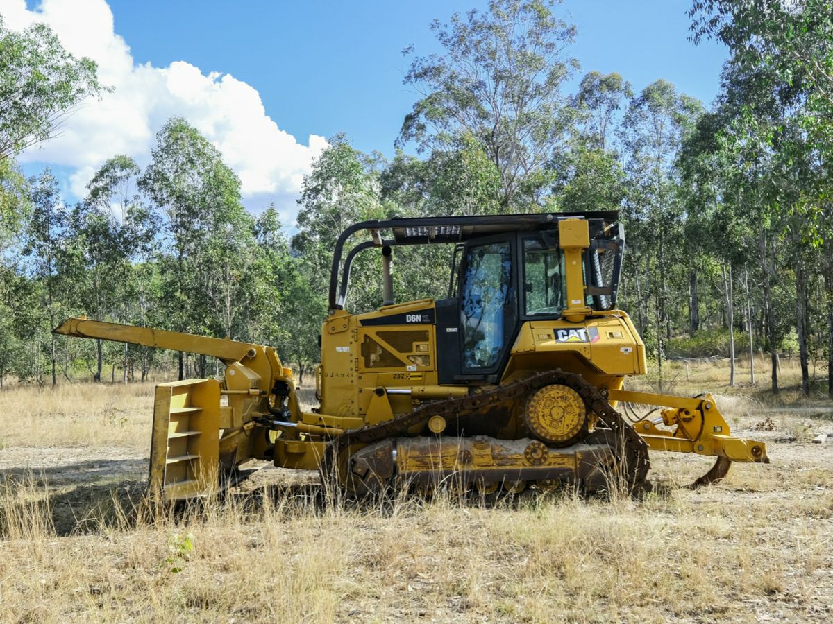 Mingo, South, QLD