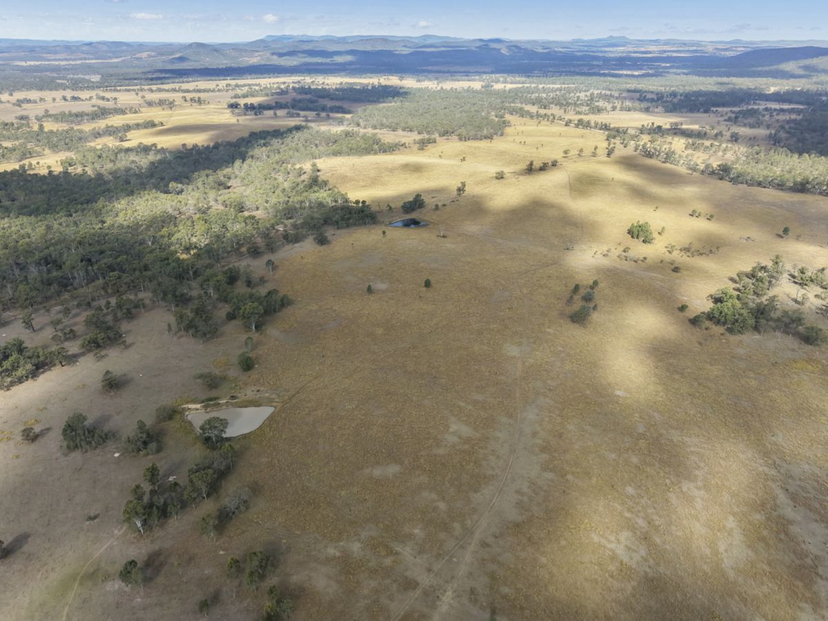 Mingo, South, QLD