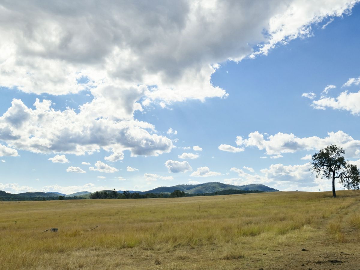 Mingo, South, QLD