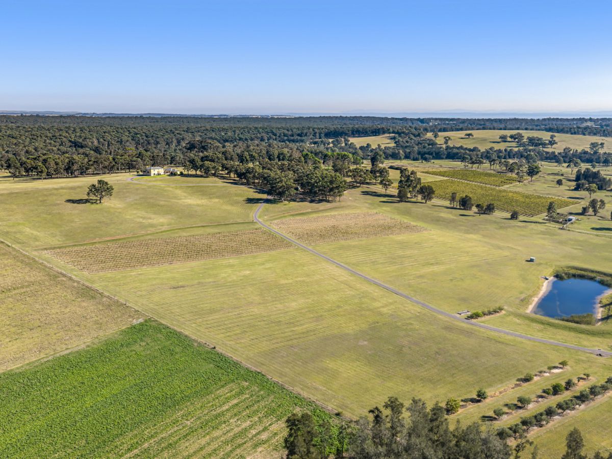 Pokolbin, Hunter Valley - Lower, NSW