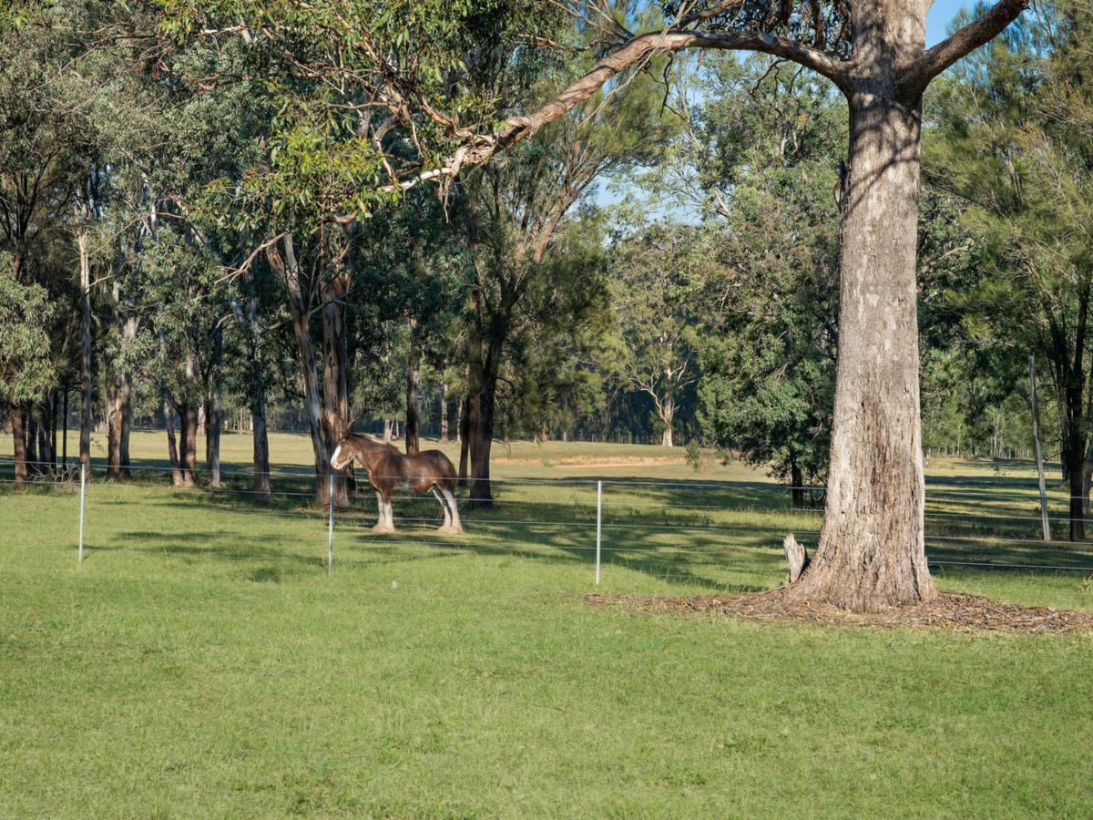 Pokolbin, Hunter Valley - Lower, NSW