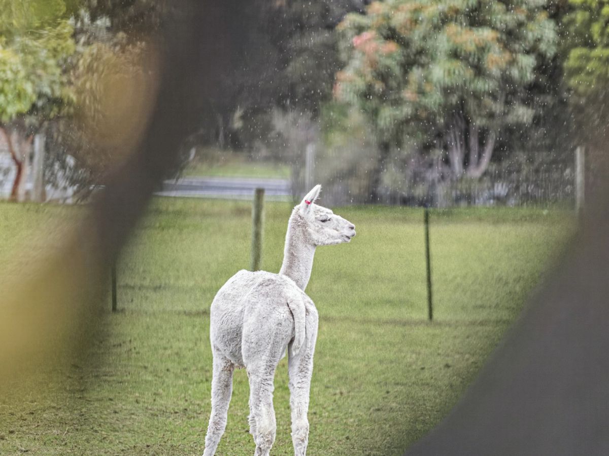 Torquay, Geelong and District, VIC