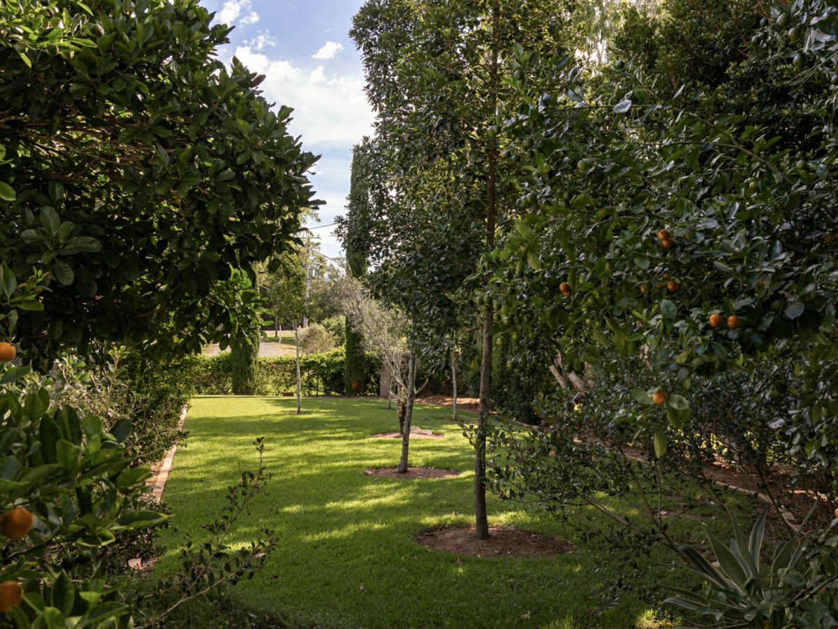 Fig Tree Pocket, City and North, QLD