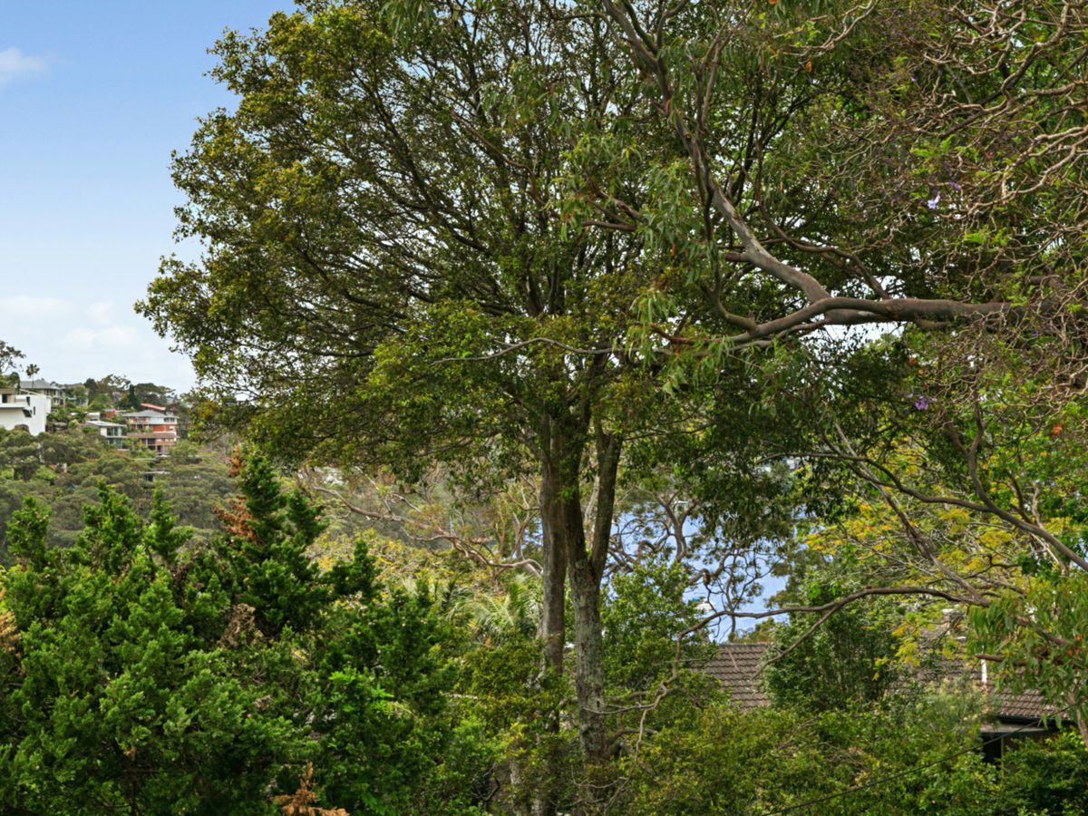 Castlecrag, North Shore - Lower, NSW