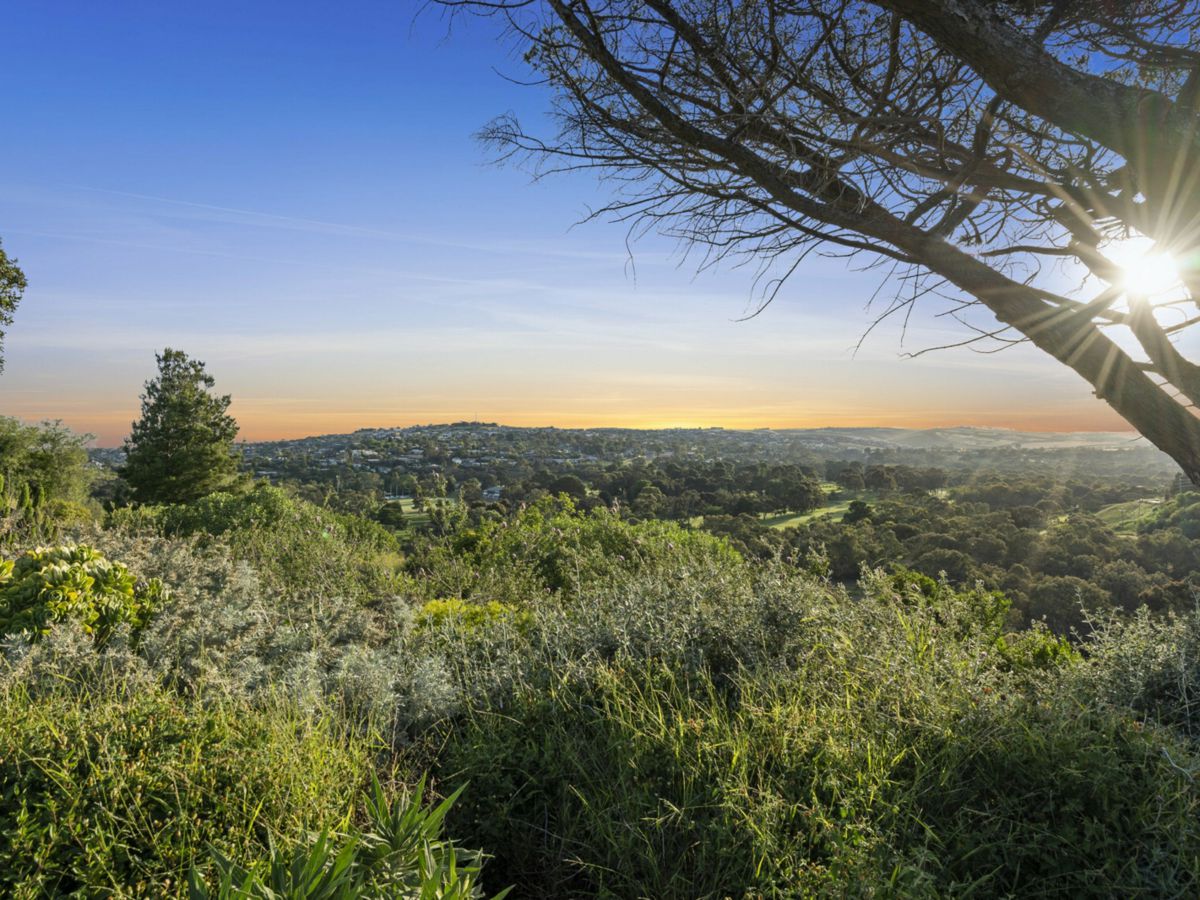 Newtown, Geelong and District, VIC