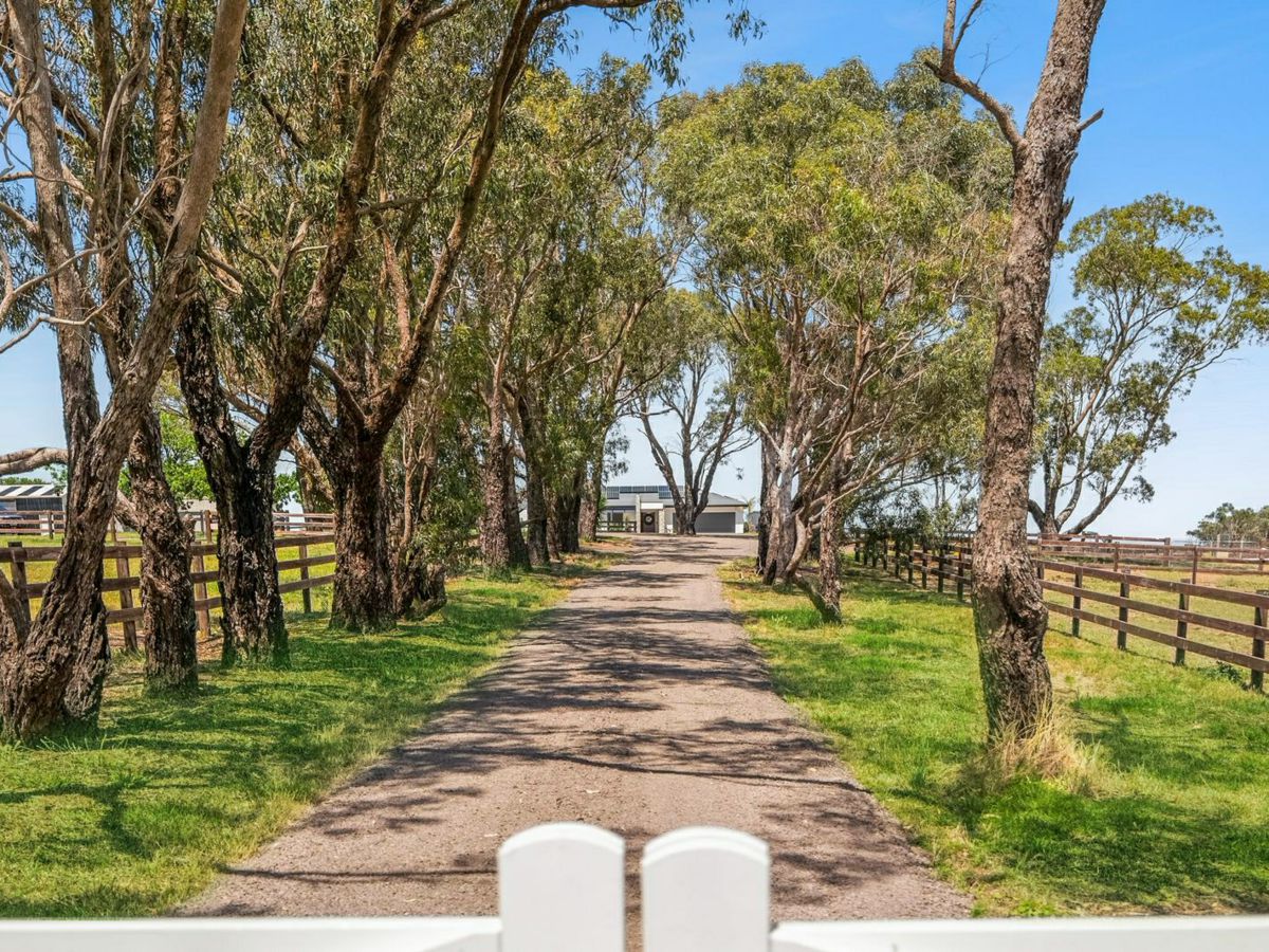 Marcus Hill, Geelong and District, VIC
