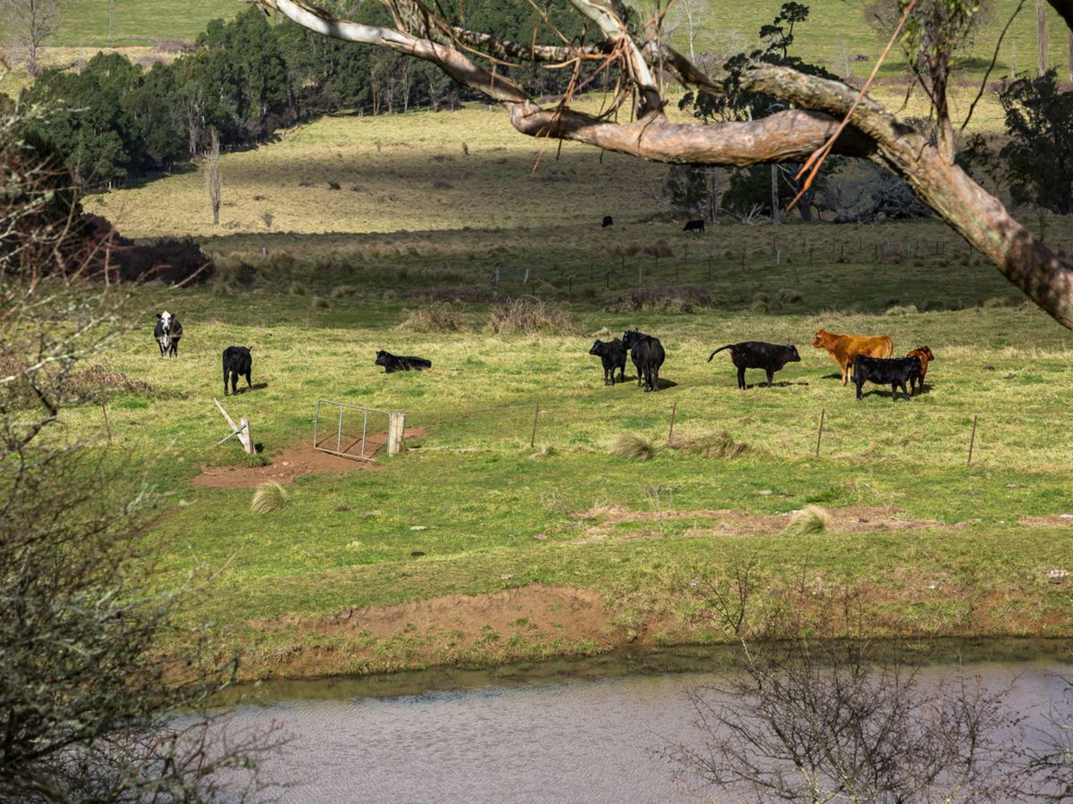 Bowral, Southern Highlands, NSW