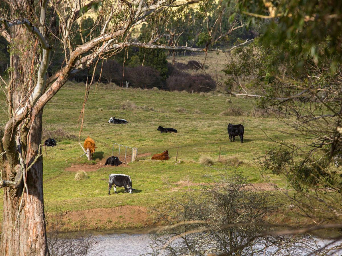 Bowral, Southern Highlands, NSW