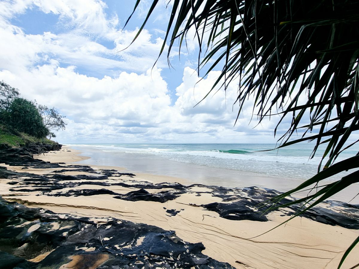 Fraser Island, Sunshine Coast, QLD