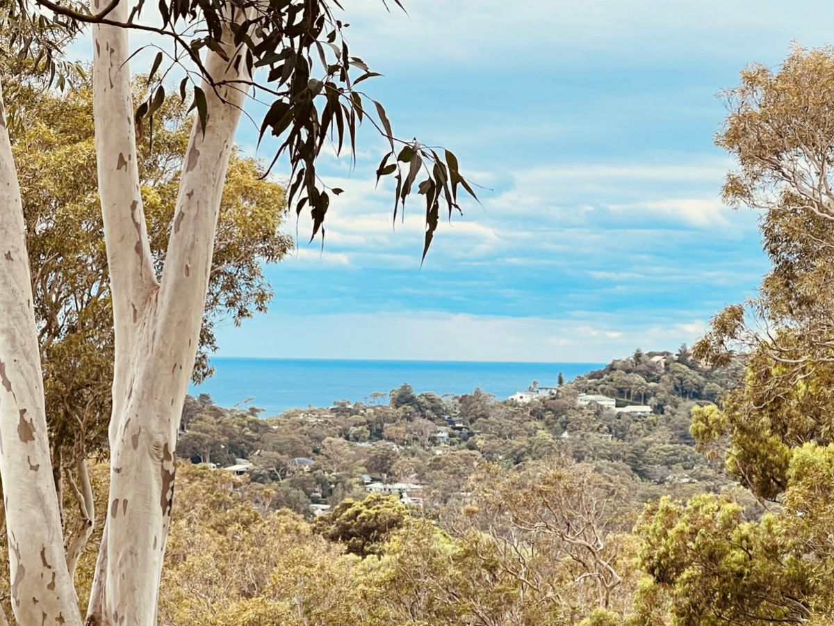 Avalon Beach, Northern Beaches, NSW